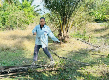 เข้าร่วมโครงการพัฒนาและปรับปรุงภูมิทัศน์ในเขตนิคมสหกรณ์บาเจาะ จังหวัดนราธิวาส ... พารามิเตอร์รูปภาพ 7